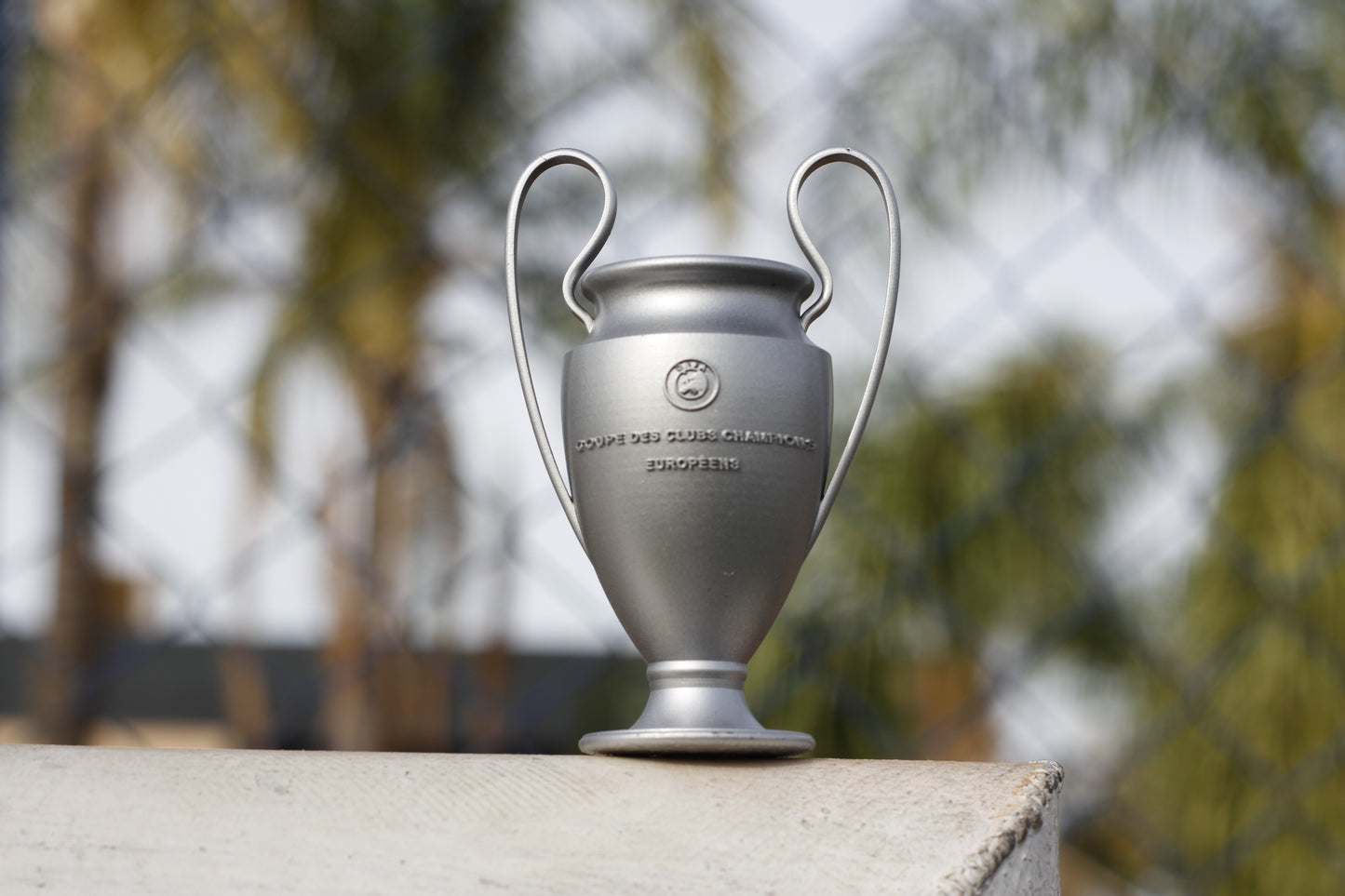 Miniatura Taça Champions League