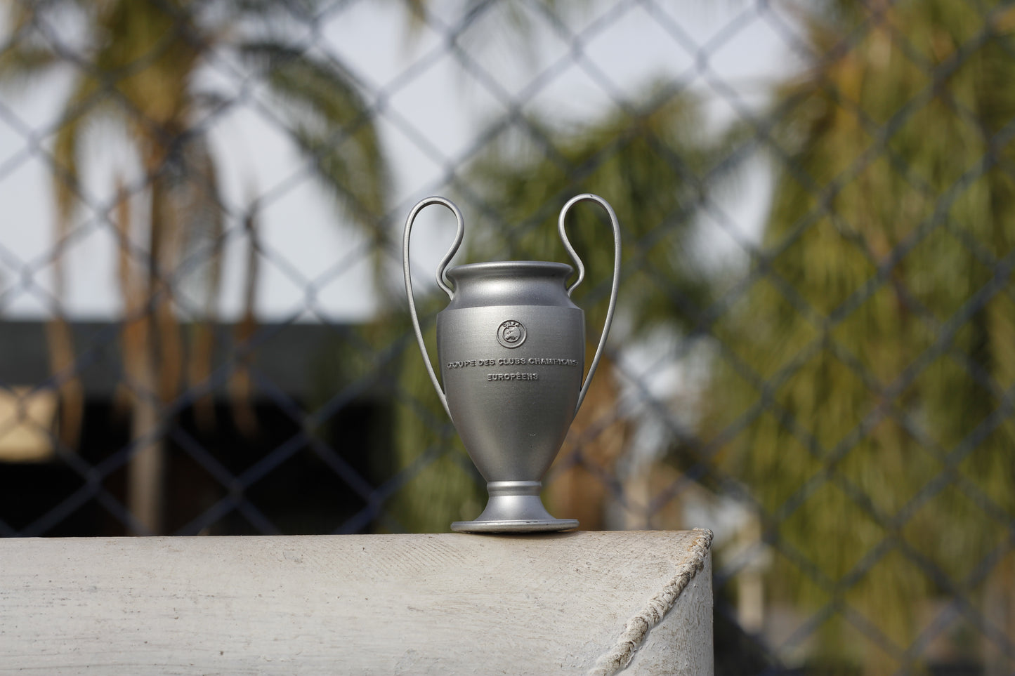 Miniatura Taça Champions League